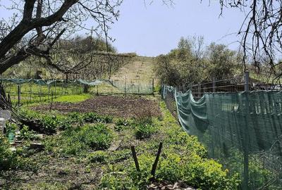Teren de 2000 mp, în Gării - 5