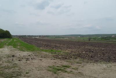 Teren de 7985 mp, în Beharca - 5