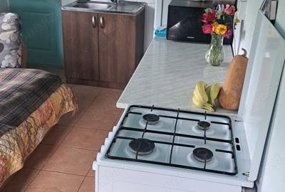 Casă cu 3 camere în Stănești - 10