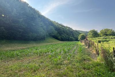 Spațiu comercial, în Leșnic - 8