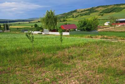 Teren de 2900 mp, în Exterior Vest - 4