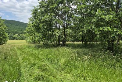 Casă cu 1 camere cu Teren 5600 Mp în Ozun - 2