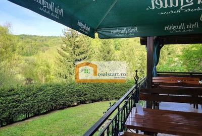 Centru Evenimente, Afacere la cheie, Restaurant cu MiniPe... Centru Evenimente, Afacere la cheie, Restaurant cu MiniPe... - 24