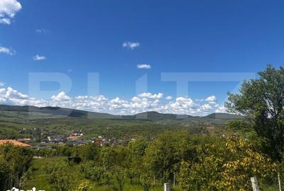 Teren de 2500 mp, în Șieu - 5