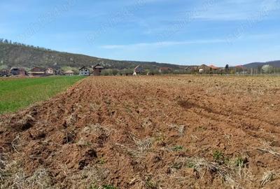 Casă cu 5 camere în Jibou - 3