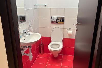 Apartament cu 3 camere, mobilat în Iancu Nicolae - 12