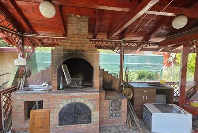 Casa de vacanca cu potential turistic, 1603 mp teren, Cernatesti - 13