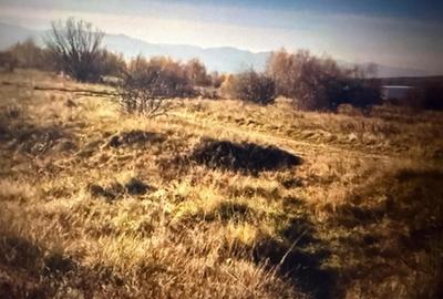 Teren generos (3,8 ha), in Salicea, pentru constructie case tip duplex - 2