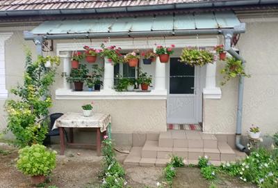 PROPRIETAR COMISION 0%. Casa de vanzare sat HOTARANI la 4km de Vanju Mare ?i 30km de Drobeta Turnu S