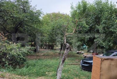 Teren extravilan 17524 mp, expunere sudica, Viforata - 26