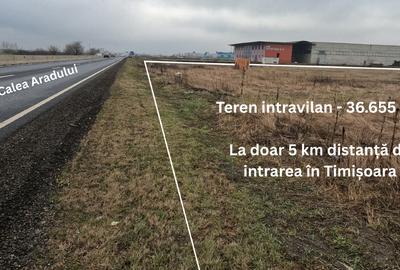 Teren intravilan de vânzare – Calea Aradului, Timișoara, jud. Timiș. - 3