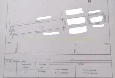 Teren de 5444 mp, în Săftica - 3