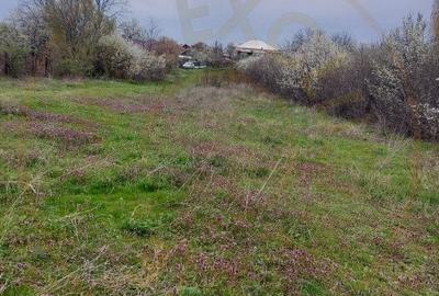 Teren Topoloveni - 3670 mp - langa padure, aproape de Centrul orasului - 5