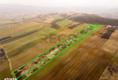 Teren de 13041 mp, în Sârbi - 2
