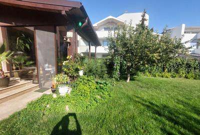 Casă individuală cu 7 camere cu Canalizare în Ovidiu - 2