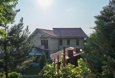Casă spatioasa, Vaslui, Cismeaua Moldovencei - 518 mp