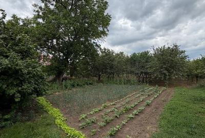 Casă cu 3 camere în Diosig - 4