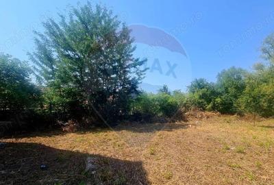 Teren de 600 mp, în Ighișu Nou