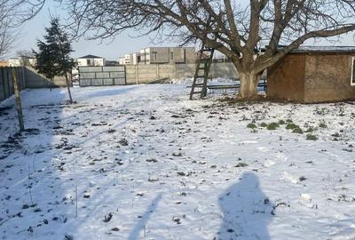 Teren de 1500 mp, în Tunari - 6