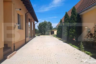 Spațiu comercial, de 7,900 mp, în Botiz - 5