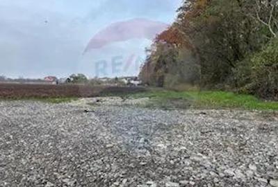 Teren de 1109 mp, în Vlădiceasca