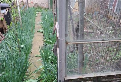 Casă cu 3 camere cu Teren 211 Mp în Iosia