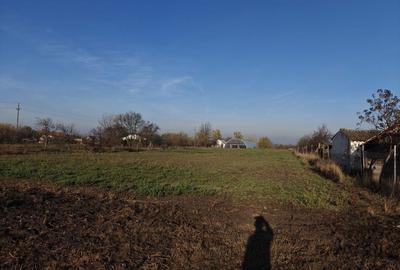 Casă cu 3 camere cu Teren 3500 Mp în Satu Mare - 2