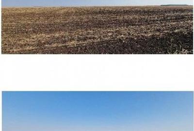 Teren extravilan Putineiu, ID: R2718957 - 15