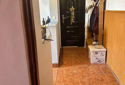 Apartament cu 2 camere semidecomandat în Debarcader - 9