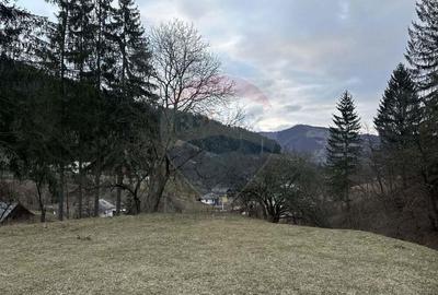 Teren 2,000mp Stejaru (Pangarati) / None - 1