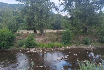 Vând teren 4 euro mp MEHADIA la 8km de BĂILE HERCULANE - 2