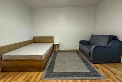 Garsonieră semidecomandată, mobilată în Costin Georgian - 4