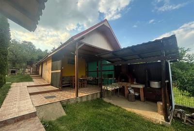 CASA D+P+M/ CALEA MARE 1438 MP TEREN/ 3 CAMERE/ TERASA /UTILATA MOBILATA - 13
