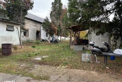 Casă cu 4 camere cu Teren 11000 Mp în Central - 3