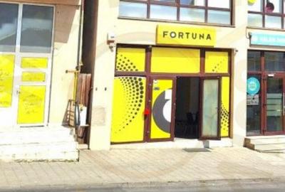 Spatiu Stradal Cu Vad Format Banat- Razboieni - 3