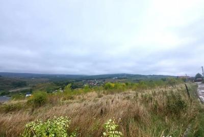 Teren de 1500 mp, în Bârnova - 2