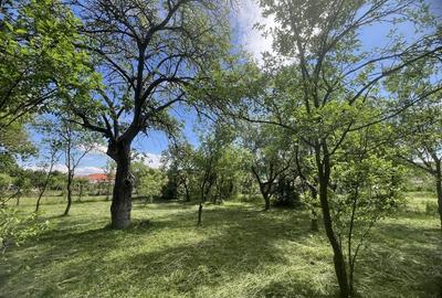 Teren de 1150 mp, în Șelimbăr - 1