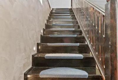 Snagov - str Zorelelor | vila 5 camere - acces lac - gradina privata - 14