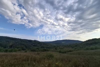 Teren spectaculos cu padure, livada si priveliste panoramica in Soimari PH - 3