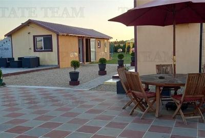 VILA SUPERBA AFACERE LA CHEIE COSTINESTI - 22