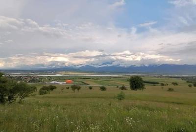 Spațiu comercial, în Bradu - 3