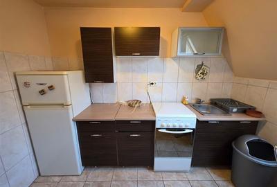 Apartament 1 camera in bloc de apartamente- Zona Sagului - 8