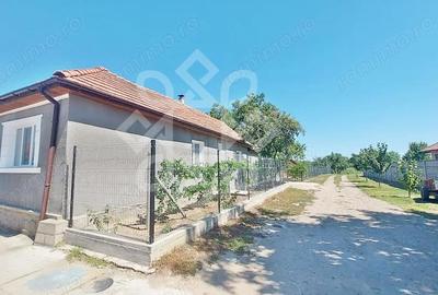 Casă cu Teren 2400 Mp în Tinca - 4