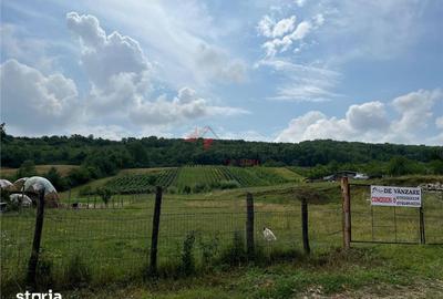 Teren de 3750 mp, în Tomești - 8