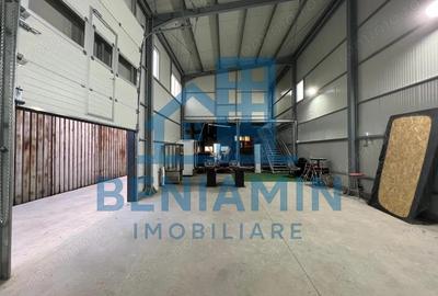 Hala in oras Str Raului Vad excelent de bun-Suprafata 450mp-Birouri - 6