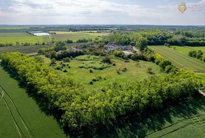 Cladire industriala de vanzare cu potential 3,5 ha in Batania - 22