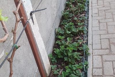 Proprietar vând 3 camere Sanandrei - 15