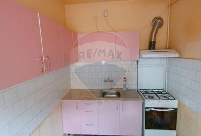 CASA + Casuta - DE VANZARE in Baia Sprie - 14