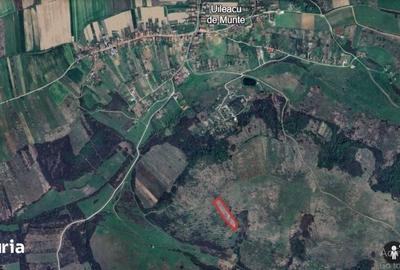 Teren de 8300 mp, în Paleu - 2