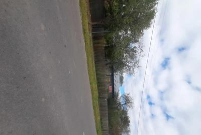 Casă cu 3 camere cu Teren 2640 Mp în Meri - 3